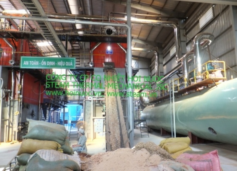 Biomass fired boiler